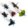Állat készlet, bogár, rovar, 6 db – lapon