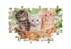 Puzzle, állatkölykök, 2x60 db, 29x19 cm dob.
