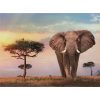 Clementoni Puzzle, Afrikai napkelte, 500 db 