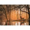 Puzzle, Susogó némaság, 500 db 