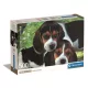 Puzzle, 2 db kiskutya, poszterrel, 500 db, 25x18 cm dob.