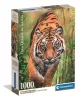 Clementoni Puzzle, tigris, poszterrel, 1000 db