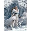 Clementoni Puzzle, Anne Stokes, A Tél őrzői, 1000 db