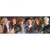 Puzzle, Harry Potter, panoráma, 1000 db
