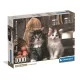 Puzzle, 2 db cica, poszterrel, 1000 db, 28x20 cm dob.