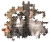 Puzzle, 2 db cica, poszterrel, 1000 db, 28x20 cm dob.