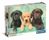 Puzzle, 3 db labdrador kutya, poszterrel, 1000 db, 28x20 cm dob.
