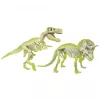Clementoni Régész készlet, 2 világító dinoszaurusz csontváz