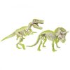 Clementoni Régész készlet, 2 világító dinoszaurusz csontváz