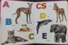 Állatábécé - Első képes szótáram