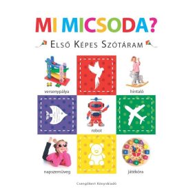 Mi micsoda? - Első képes szótáram