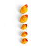 Fishing Game – Horgászjáték aranyos kacsákkal