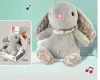 Zenélő plüss nyuszi vagy maci patentos kézzel, elemes – 2 féle