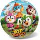 Top Wing labda
